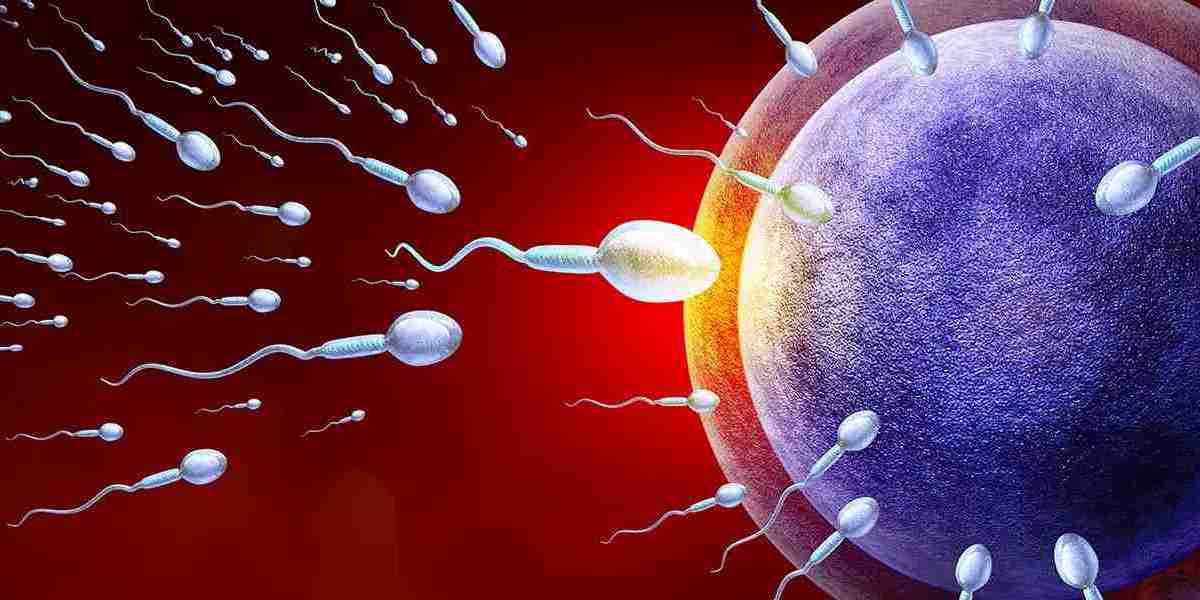 Sperm Count - Basics And Overview